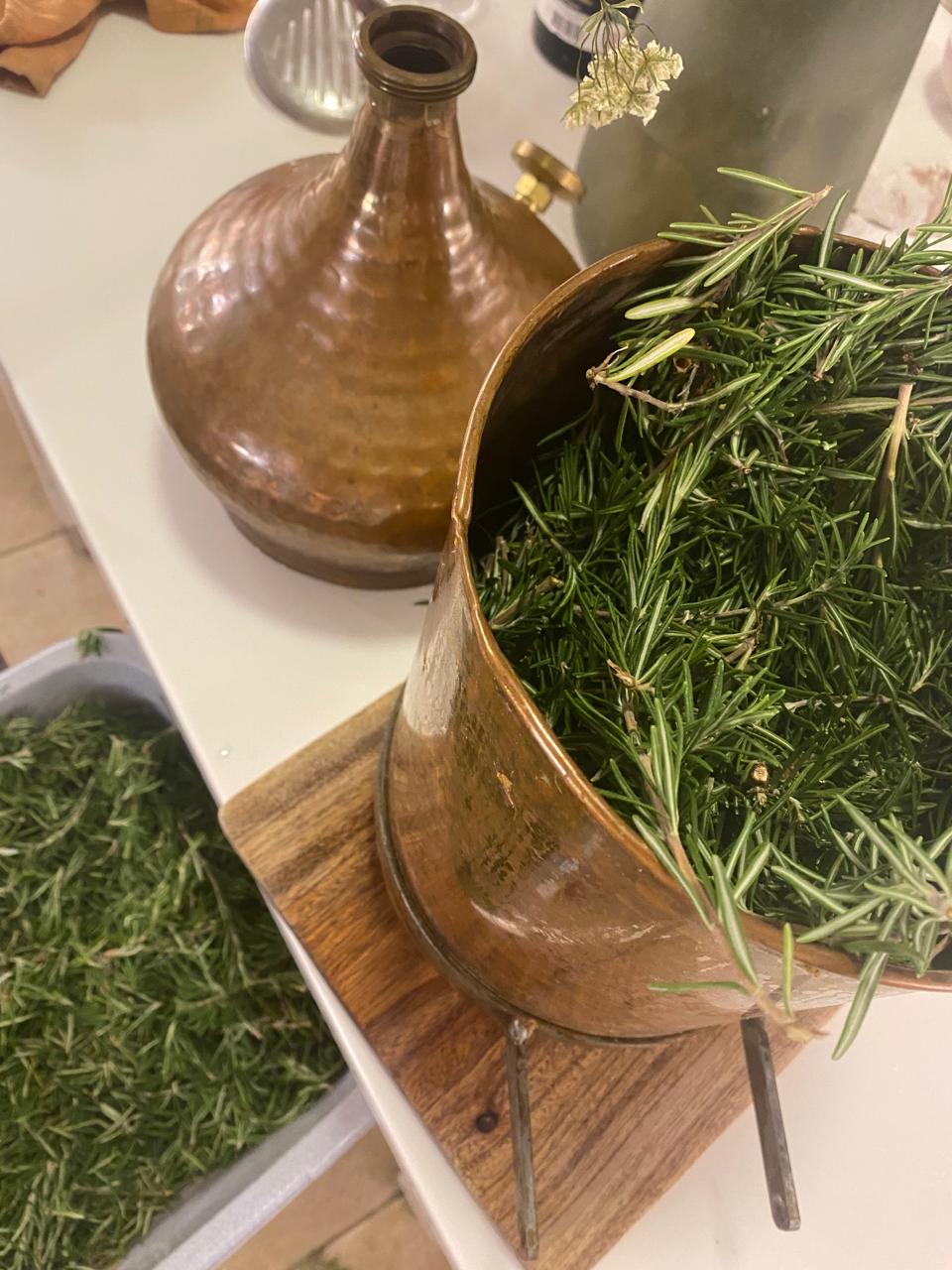 Rosemary hydrosol